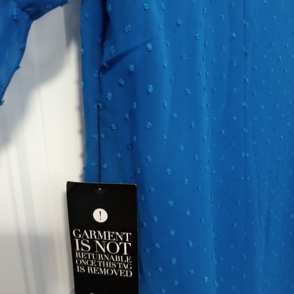 New Dotted Swiss Blue Dress / 2X - Picture 4 of 8